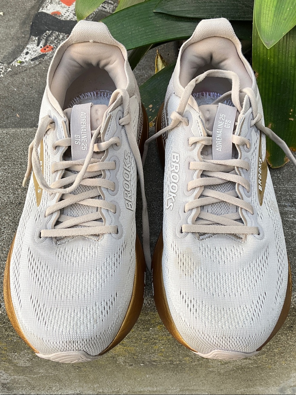 Brooks Women's Adrenaline GTS 25 Running Shoe Size 9.5 Limited EditionNO INSOLES
